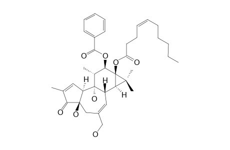 STELLERACIN_A