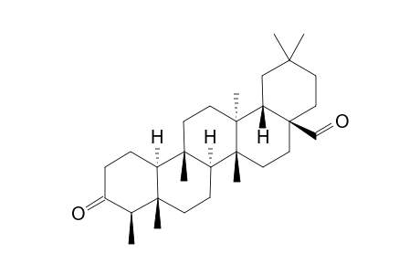 CANOPHYLLAL