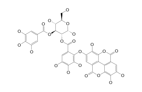 ALPHA-OENOTHEIN_C