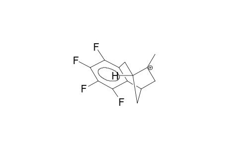 7-METHYL-3,4-PERFLUOROBENZOBICYCLO[3.2.1]OCTEN-7-YL CATION