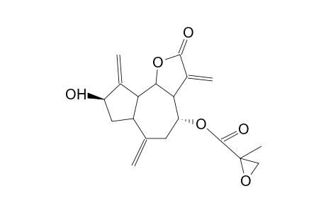 SALOGRAVIOLIDE C