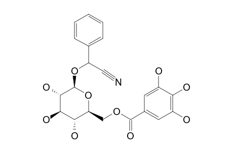 6'-O-GALLOYL-SAMBUNIGRIN