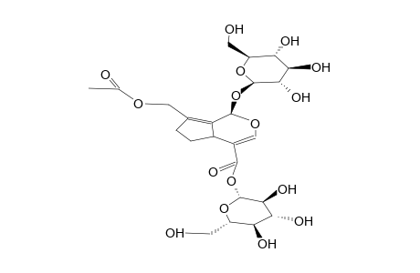 HOOKERIOSIDE