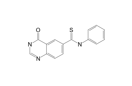 6-(PHENYLAMINOTHIOCARBONYL)-3-H-QUINAZOLIN-4-ONE