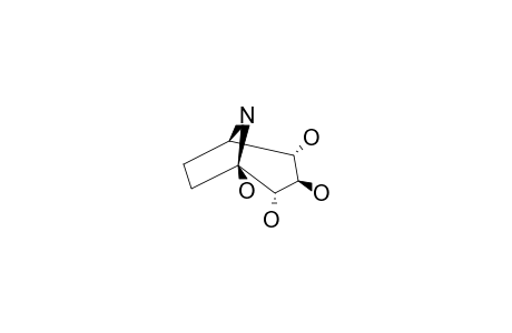 CALYSTEGINE-B2