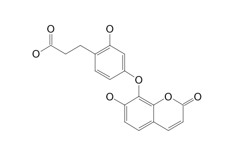 EDGEWORIC-ACID