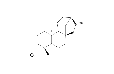 ENT-KAUR-16-EN-19-AL