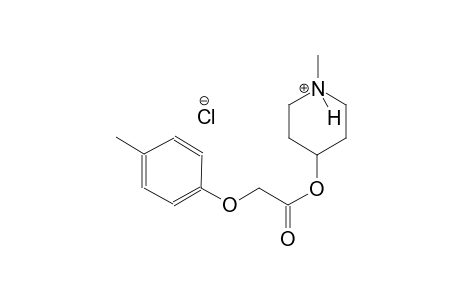 1-methyl-4-{[(4-methylphenoxy)acetyl]oxy}piperidinium chloride