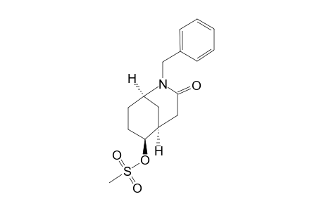 2-BENZYL-6-METHANESULFONYL-2-AZABICYCLO-[3.3.1]-NONAN-3-ONE