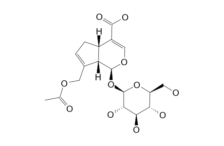 10-O-ACETYL-GENIPOSIDIC-ACID