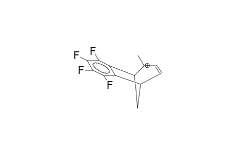 2-METHYL-6,7-TETRAFLUOROBENZOBICYCLO[3.2.1]OCTA-3,6-DIEN-2-YL CATION