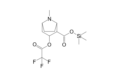 Cocaine-M (ecgonine) TMSTFA         @