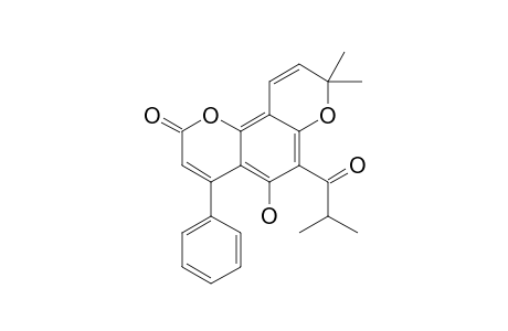 MAMMEA-A/AD-CYCLO-D