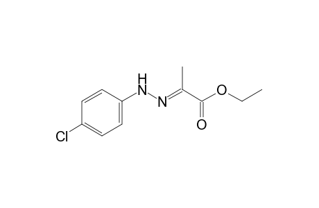 pyruvic acid, ethyl ester, p-chlorophenylhydrazone