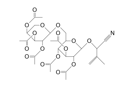 Proacaciberin hexaacetate