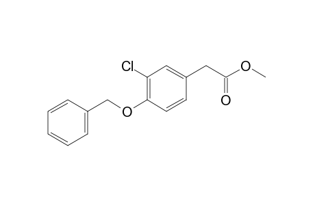 [4-(benzyloxy)-3-chlorophenyl]acetic acid, methyl ester