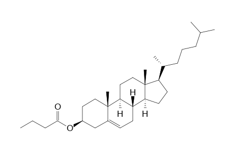 Cholesterol, butyrate