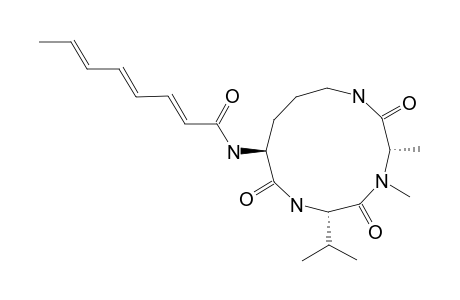 SCLEROTIOTIDE_A;(2-E,4-E,6-E)-CYCLO-[(N-ME-L-ALA)-L-VAL-(N-ALPHA-OCTA-2,4,6-TRIENOYL-L-ORN)]