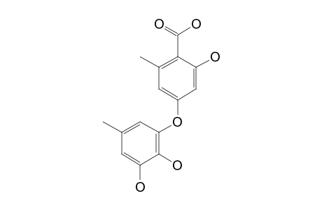 GERFELIN