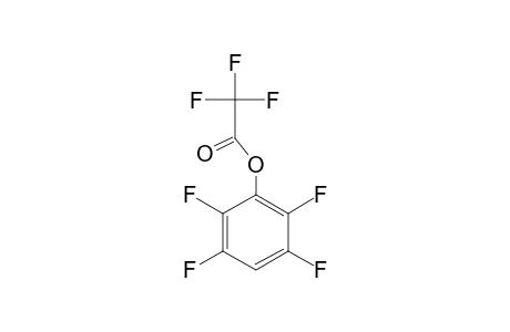 2,3,5,6-TETRAFLUOROPHENYL-TRIFLUOROACETATE