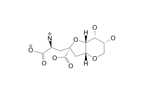 NEODYSIHERBAINE-A