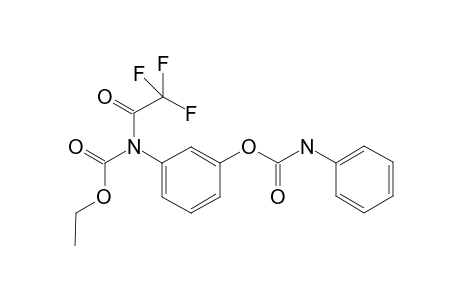 Desmedipham TFA