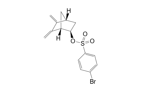 endo-5,6-Dimethylidene-2-norbornyl brosylate