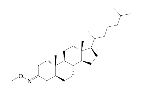 5-Alpha-cholestan-3-one, 1MEOX