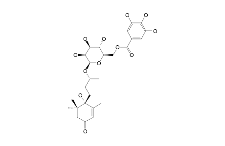 MACARANGIOSIDE-A;(6S,9R)-MEGASTIGMAN-4-EN-3-ONE-6,9-DIOL-9-O-(6'-O-GALLOYL)-BETA-D-GLUCOPYRANOSIDE