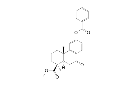 METHYL-12-BENZOYLOXY-7-OXO-PODOCARPA-8,11,13-TRIEN-19-OATE