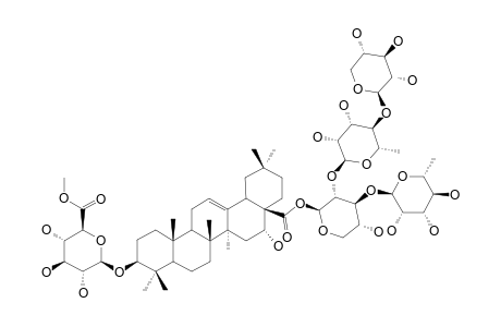 SCABEROSIDE-HB1;3-O-BETA-[(6-O-METHYL)-GLUCURONOPYRANOSYL]-ECHINOCYSTIC-ACID-28-O-[XYLOPYRANOSYL-(1->4)-RHAMNOPYRANOSYL-(1->2)-[RHAMNOPYRANOSYL-(1