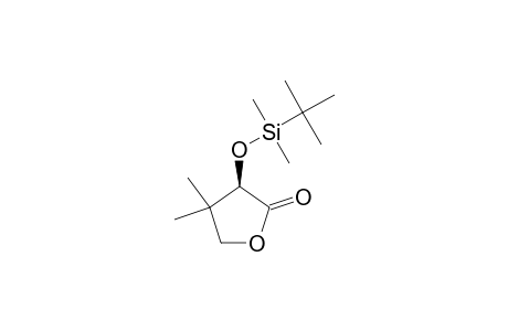 (R)-[(TERT.-BUTYLDIMETHYLSILYL)-OXY]-PANTOLACTONE