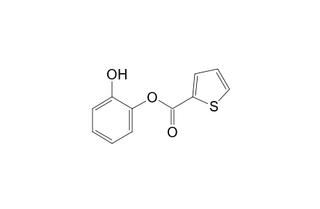 2-thiophenecarboxylic acid, o-hydroxyphenyl ester