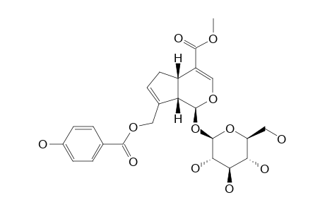 HEDYCORYSIDE-B