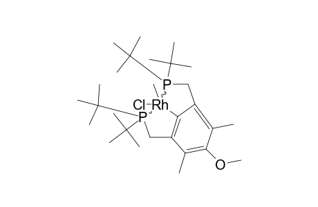 RH(DTBPA)(CH3)CL