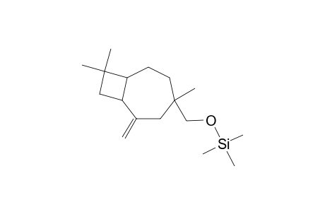 Birkenol, mono-TMS