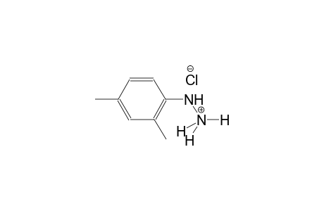 2,4-Dimethylphenylhydrazine hydrochloride