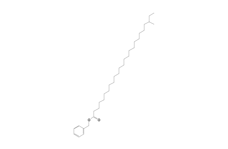 Benzyl 23-methylpentacosanoate