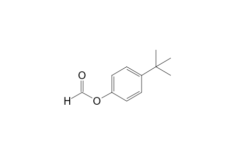 p-tert-BUTYLPHENOL, FORMATE