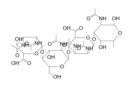 ALPHA-OLIGOSACCARIDE 1 (FROM ARTHROBACTER GLOBIFORMIS)