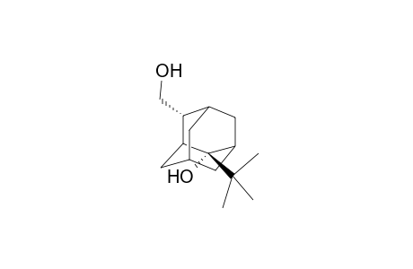 2(e)-tert-Butyl-4(a)-(hydroxymethyl)adamantan-2(a)-ol