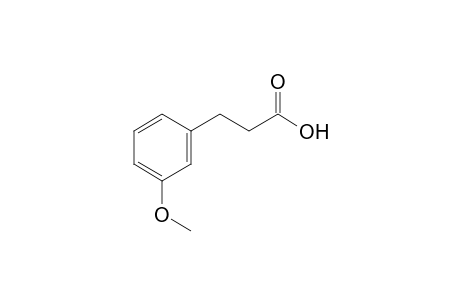 3-(3-Methoxyphenyl)propionic acid