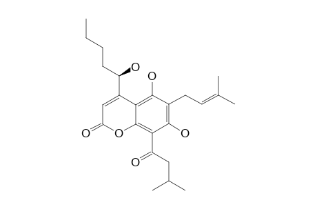 MAMMEA_F/BA;5,7-DIHYDROXY-4-(1-S-HYDROXYPENTYL)-6-(3-METHYLBUT-2-EN-1-YL)-8-(3-METHYLBUTANOYL)-2-H-CHROMEN-2-ONE