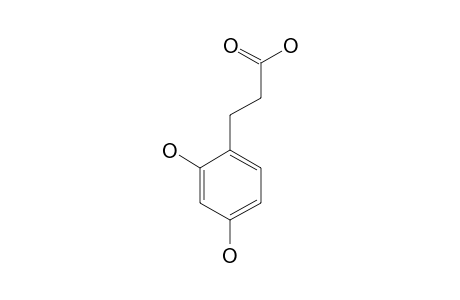 3-(2,4-DIHYDROXYPHENYL)PROPIONIC ACID