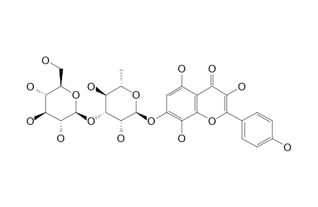 RHODIOSIN