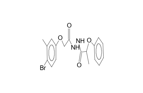 N'-(3-methyl-4-bromophenoxyacetyl)-2-phenoxypropanoic acid hydrazide