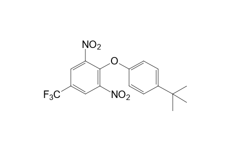 p-tert-BUTYLPHENYL 2,6-DINITRO-alpha,alpha,alpha-TRIFLUORO-p-TOLYL ETHER