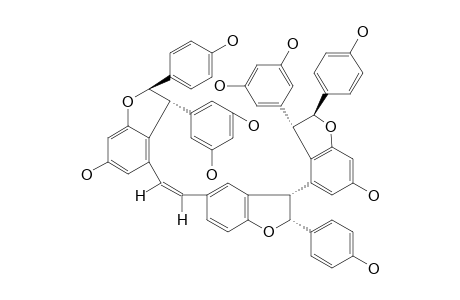 HALOPHILOL_B