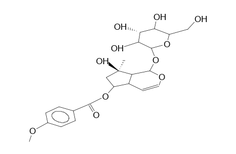 6-O-(P-METHOXYBENZOYL)-AJUGOL