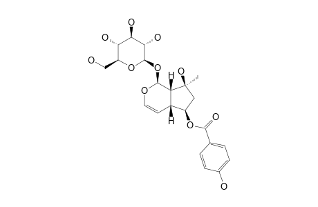 6-O-PARA-HYDROXYBENZOYLAJUGOL